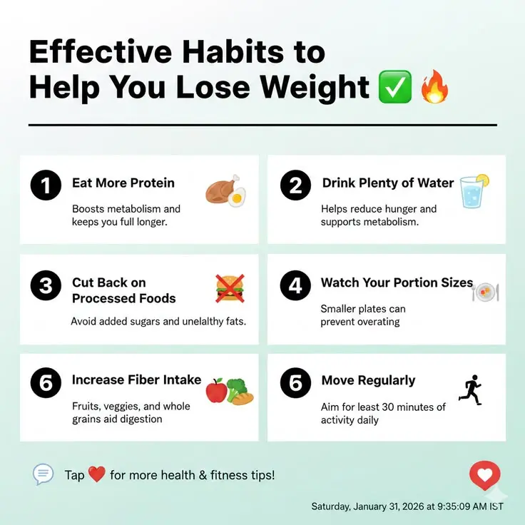 effective weight management tips for beginners