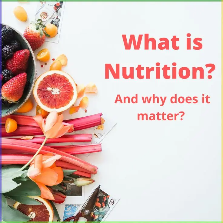 why is nutrition important